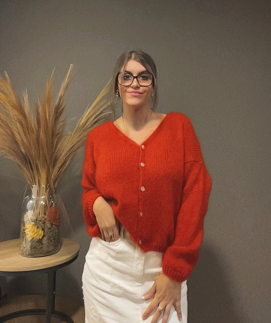 Gilet mohair (existe en plusieurs couleurs)