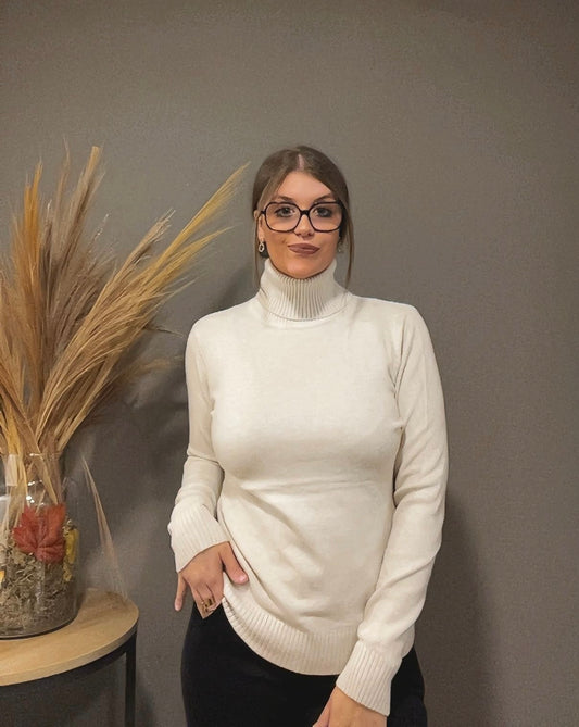 Pull col roulé épais (existe en plusieurs couleurs)