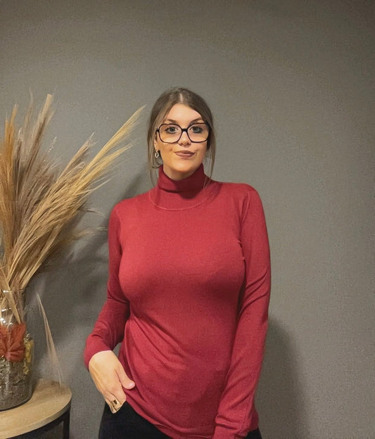 Pull fin à col roulé